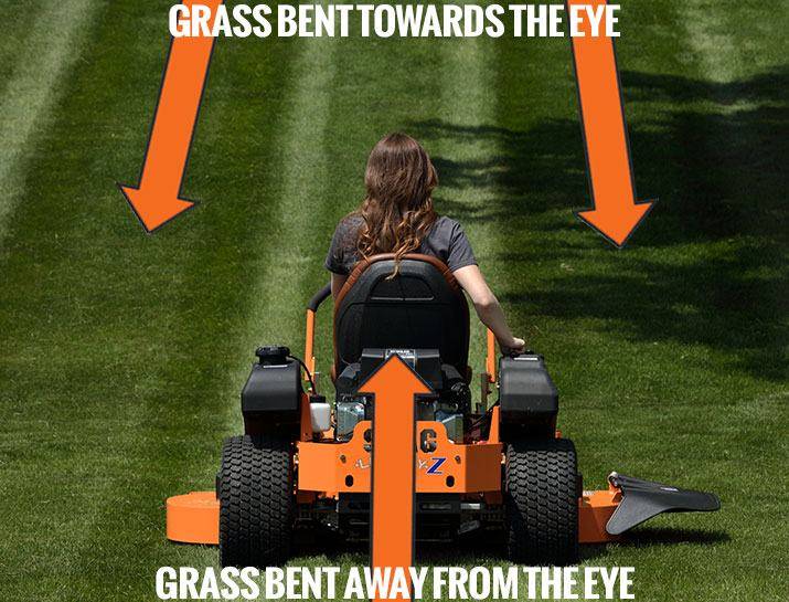 Scag Mower For Sale